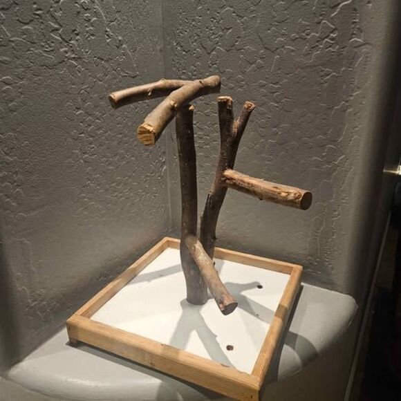 Parrot Perch Bird Stand 13"x13"x16" - Picture 2 of 5